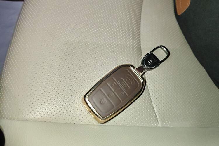 Used Toyota SIENNA 2023 2.5L Hybrid Luxury Edition Vehicle Key