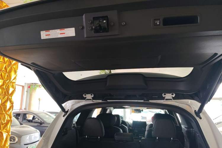 Used Toyota SIENNA 2024 2.5L Hybrid Platinum Edition Trunk