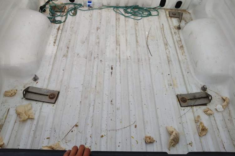 Used Toyota Tundra  Trunk