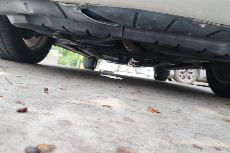 Used Toyota Venza 2013 2.7L Four-Wheel Drive Ultimate Edition Chassis Front