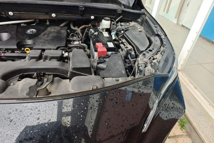 Used Toyota Venza 2022 2.0L CVT Four-Wheel Drive Supreme Edition Engine Bay Left