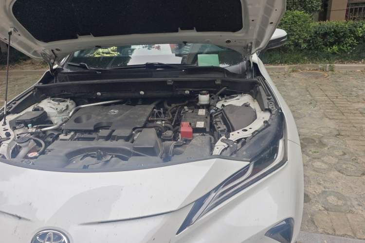 Used Toyota Venza 2022 2.0L CVT Two-Wheel Drive Prestige Edition Engine Bay Left