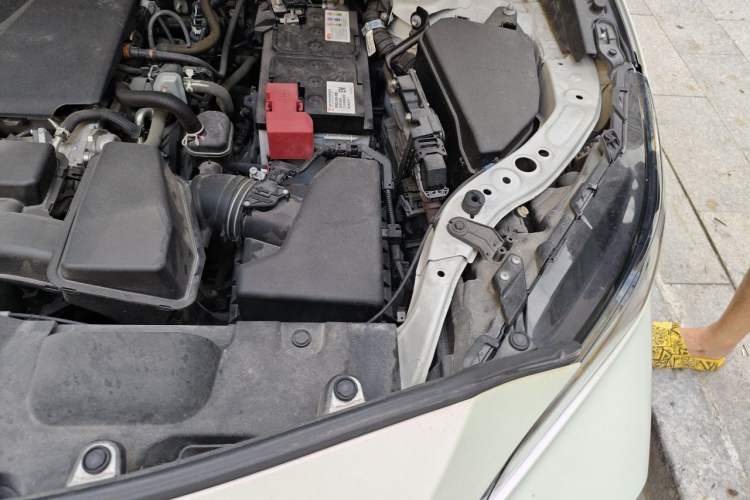 Used Toyota Venza 2022 2.0L CVT Two-Wheel Drive Prestige Edition Engine Bay Left