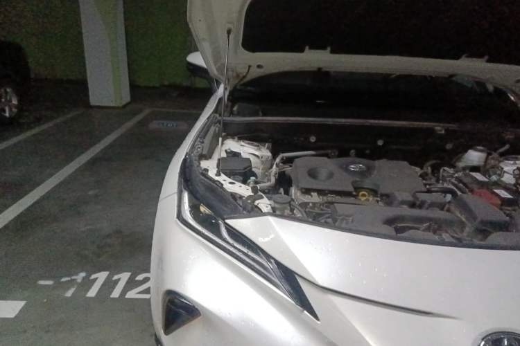 Used Toyota Venza 2022 2.0L CVT Two-Wheel Drive Prestige Edition Engine Bay Right