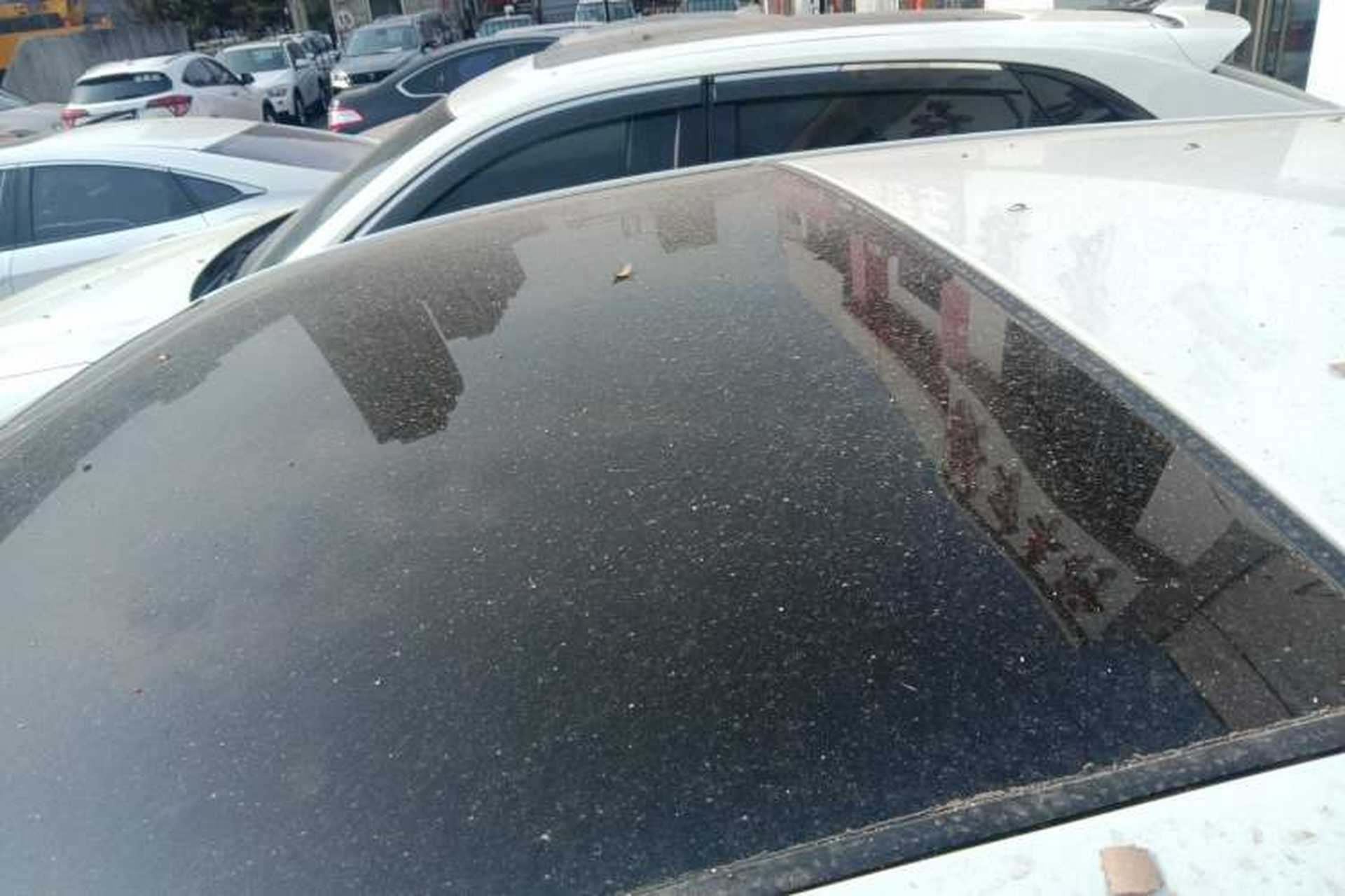 Used Toyota Venza 2022 2.0L CVT Two-Wheel Drive Prestige Edition Roof