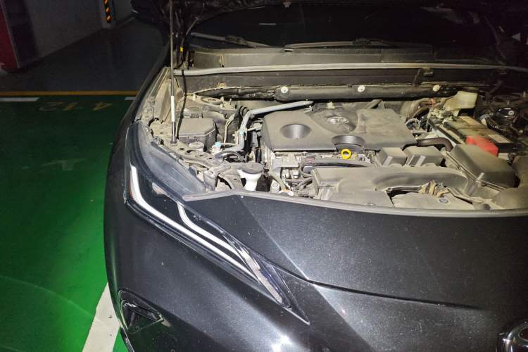 Used Toyota Venza 2023 2.0L CVT Two-Wheel Drive Prestige Version Engine Bay Right