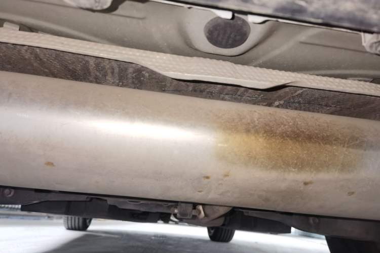 Used Toyota Venza 2023 2.0L CVT Two-Wheel Drive Prestige Version Chassis Rear