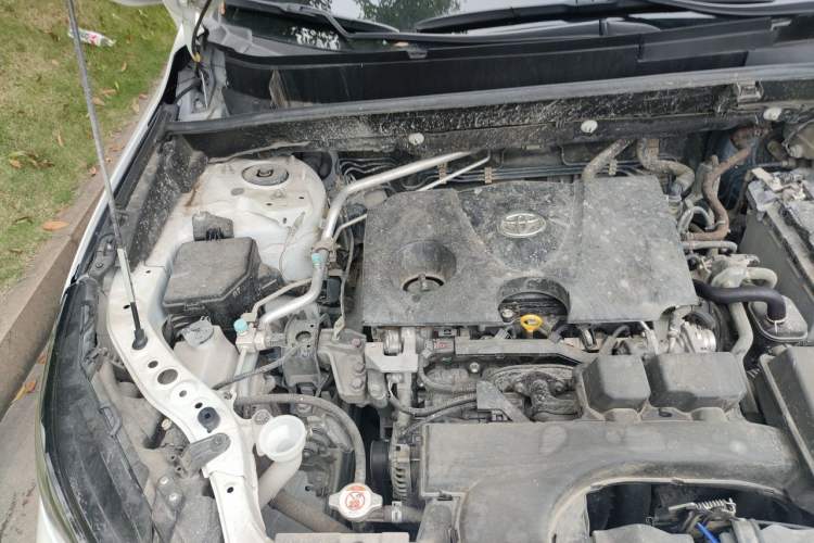 Used Toyota Venza 2023 2.0L CVT Two-Wheel Drive Prestige Version Engine Bay Right