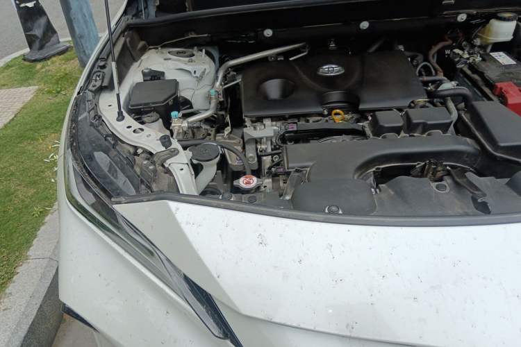 Used Toyota Venza 2023 2.0L CVT Two-Wheel Drive Prestige Version Engine Bay Right