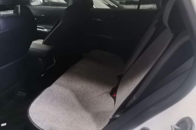 Used Toyota Venza 2023 2.0L CVT Two-Wheel Drive Luxury Edition Left Rear Seat