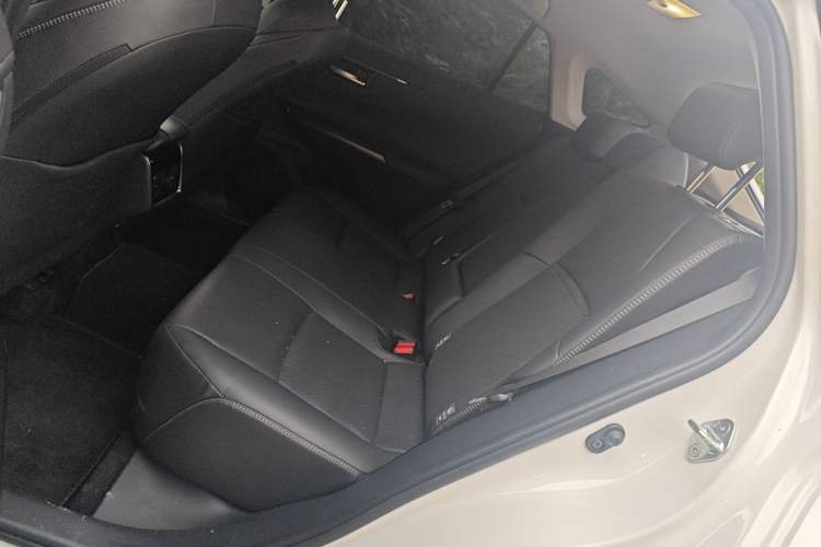 Used Toyota Venza 2023 2.0L CVT Two-Wheel Drive Prestige Version Left Rear Seat