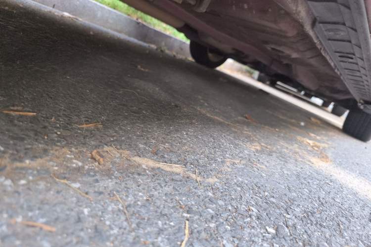 Used Toyota Vios 2008 1.6L GL-i Special Edition AT Chassis Rear Right