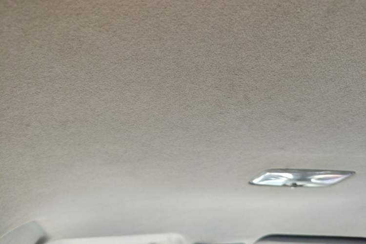 Used Toyota Vios 2008 1.6L GL-i Special Edition AT Headliner