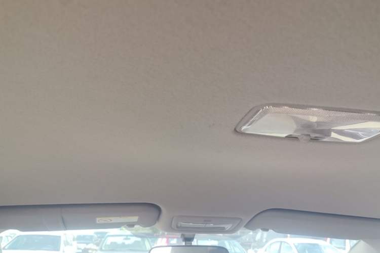 Used Toyota Vios 2010 1.3L GL-i Standard Edition MT Headliner