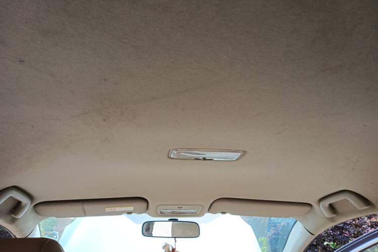 Used Toyota Vios 2010 1.6L GL-i AT Headliner