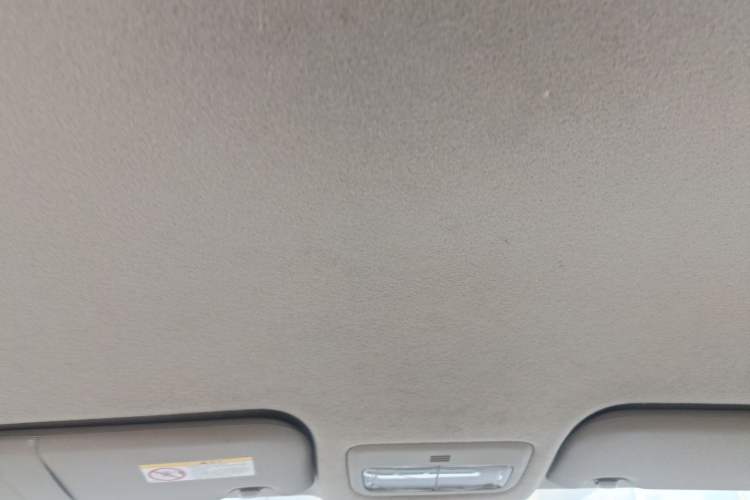Used Toyota Vios 2010 1.6L GL-i AT Headliner