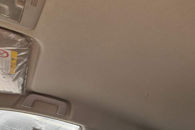 Used Toyota Vios 2014 1.5L Automatic ZhiZhen Edition Headliner