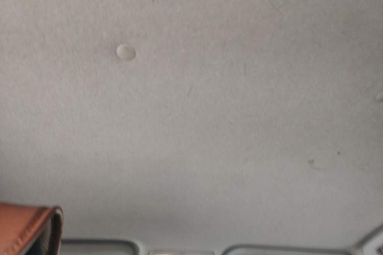 Used Toyota Vios 2014 1.3L Manual Value Edition Headliner