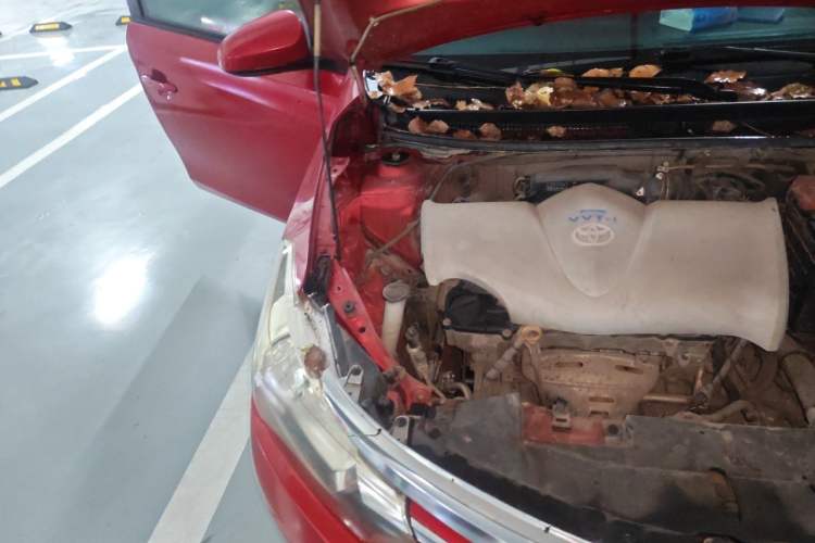 Used Toyota Vios 2014 1.5L Automatic ZhiZhen Edition Engine Bay Right