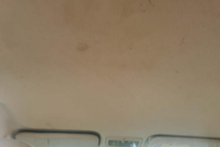 Used Toyota Vios 2014 1.5L Manual ZhiShang Edition Headliner