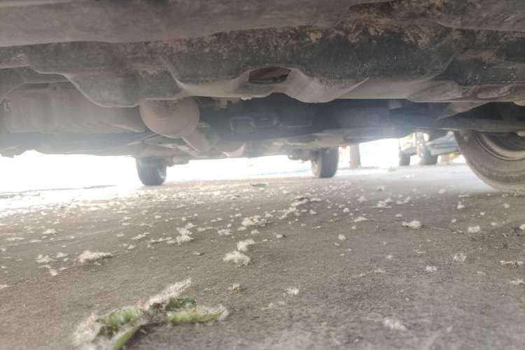 Used Toyota Vios 2014 1.3L Manual Value Edition Chassis Front