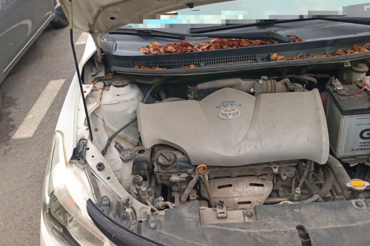 Used Toyota Vios 2014 1.3L Manual Value Edition Engine Bay Right