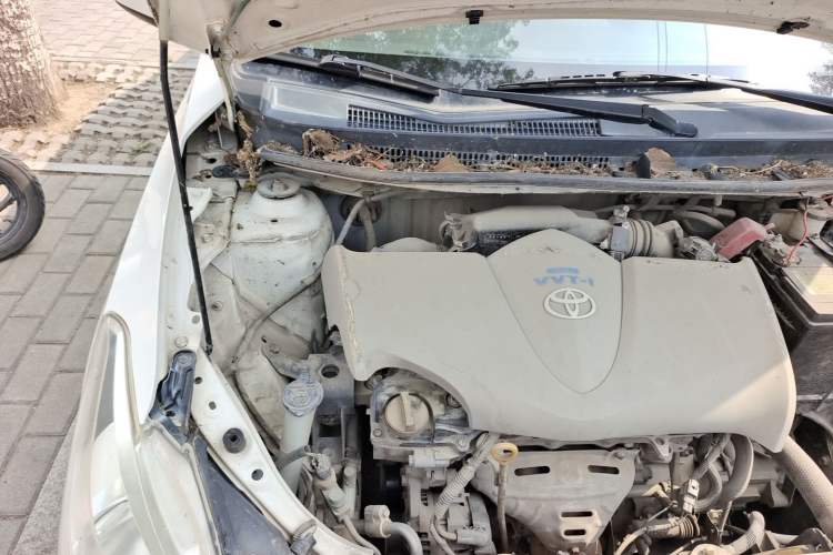 Used Toyota Vios 2014 1.3L Manual Value Edition Engine Bay Right