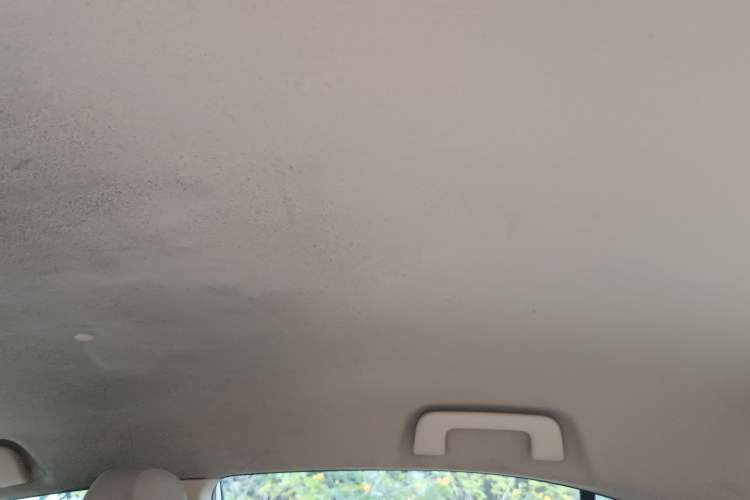 Used Toyota Vios 2014 1.3L Manual Value Edition Headliner