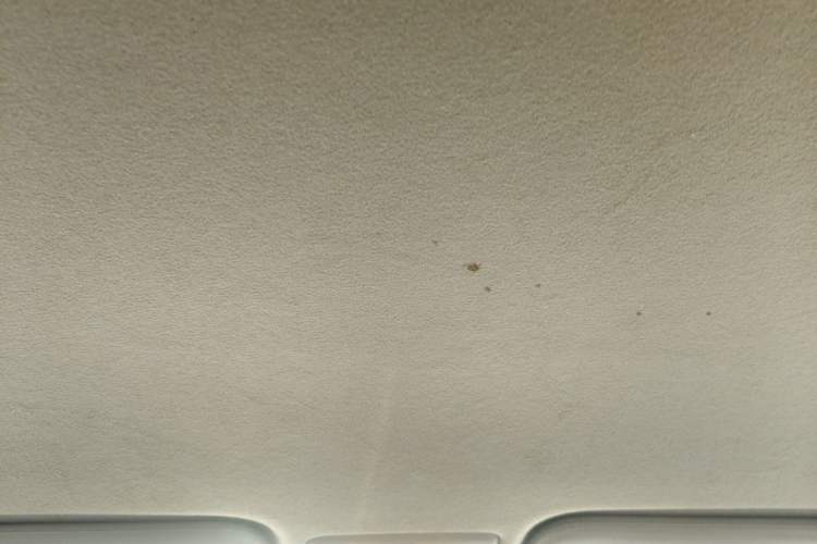 Used Toyota Vios 2014 1.5L Manual ZhiZhen Edition Headliner