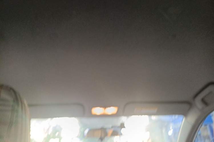 Used Toyota Vios 2014 1.5L Manual ZhiZhen Edition Headliner