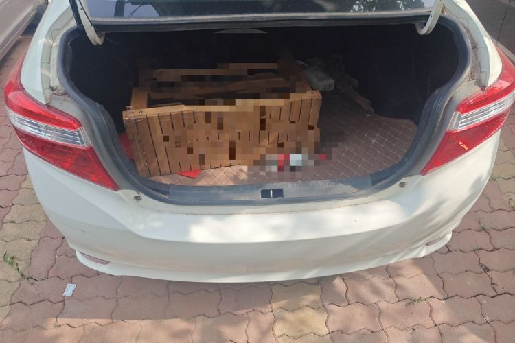 Used Toyota Vios 2014 1.3L Manual Xiang Edition Trunk