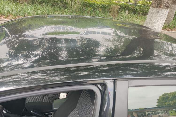 Used Toyota Vios 2016 1.5L Automatic ZhiZhen Xingyao Edition Roof