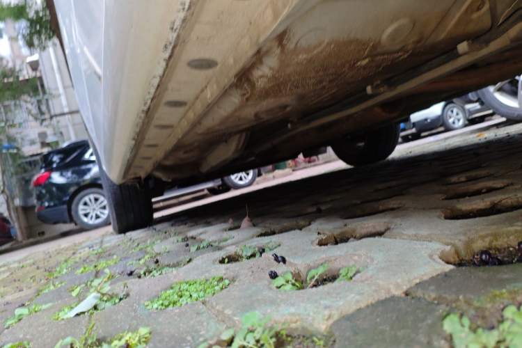 Used Toyota Vios 2016 1.5L Automatic ZhiZhen Xingyao Edition Chassis Rear Left