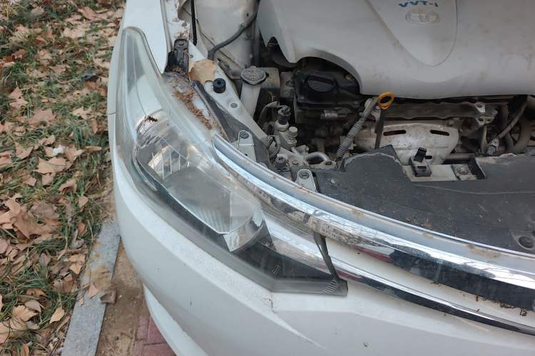 Used Toyota Vios 2016 1.5L Automatic ZhiZhen Xingyao Edition Engine Bay Right