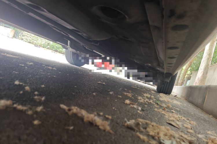 Used Toyota Vios 2017 1.5L CVT Innovation Edition Chassis Front Left