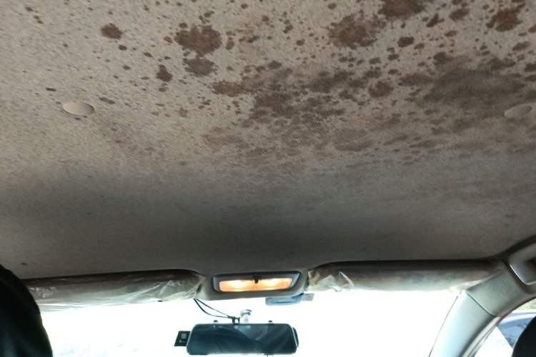 Used Toyota Vios 2019 1.5L CVT Innovation Edition Headliner