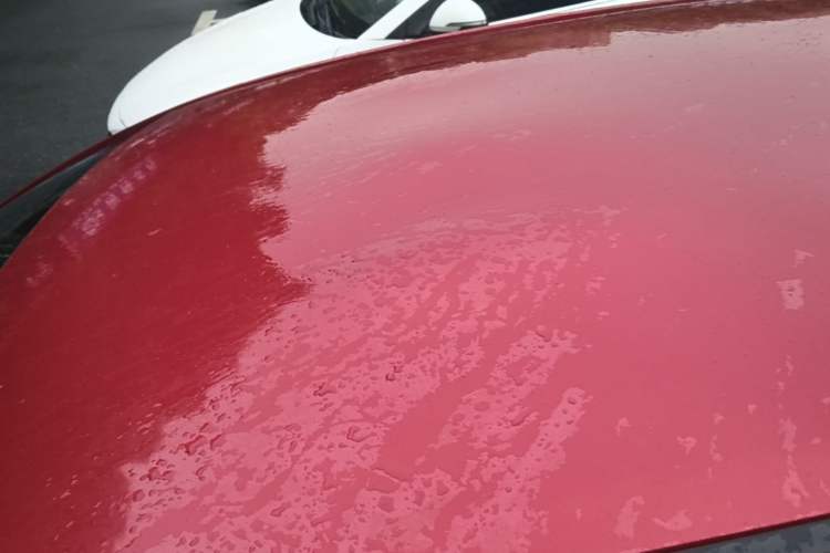 Used Toyota Vios 2019 1.5L CVT Innovation Edition Roof