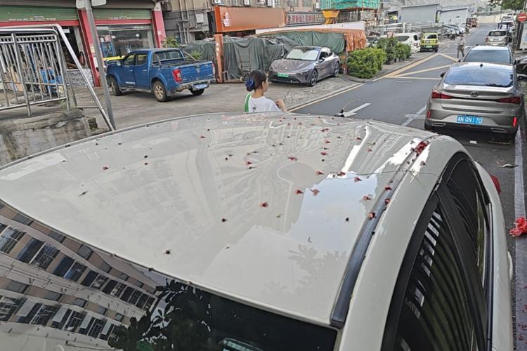 Used Toyota Vios 2019 1.5L CVT Innovation Edition Roof