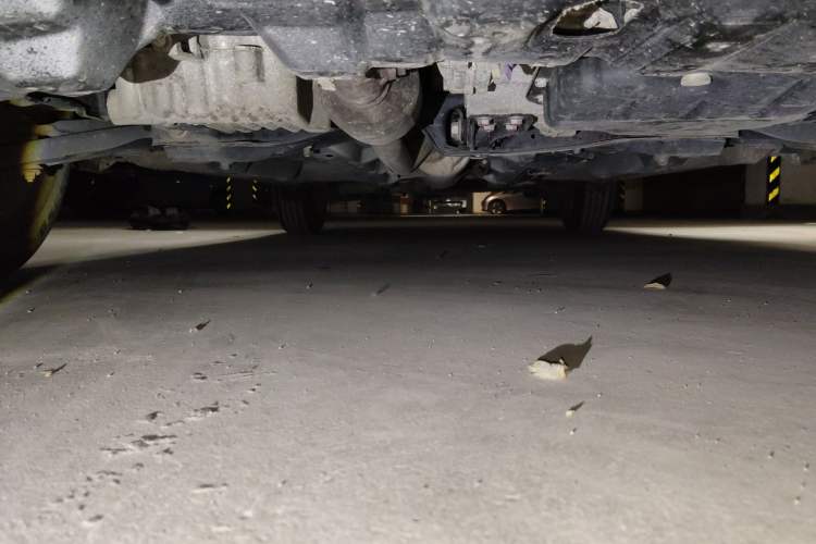 Used Toyota Vios 2021 1.5L CVT Innovation Edition Chassis Front