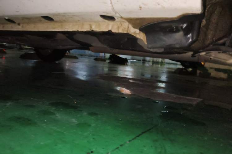 Used Toyota Vios 2021 1.5L CVT Innovation Edition Chassis Front Right