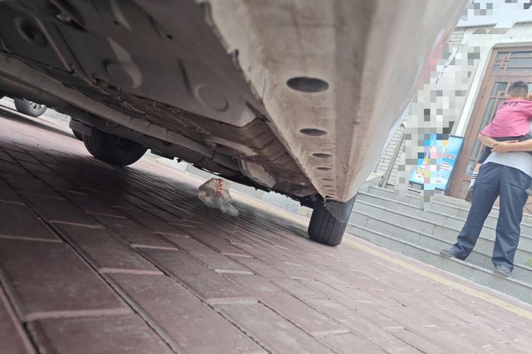 Used Toyota Vios 2021 1.5L CVT Innovation Edition Chassis Rear Right
