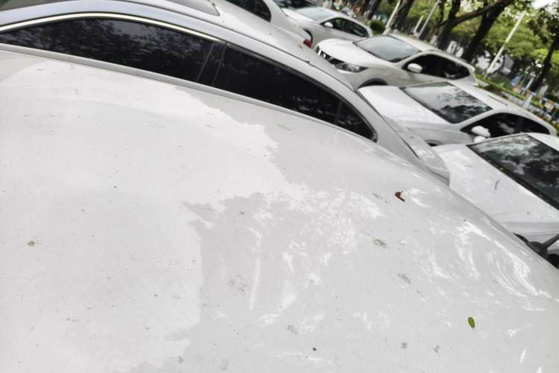 Used Toyota Vios 2022 1.5L 20th Anniversary Edition Roof