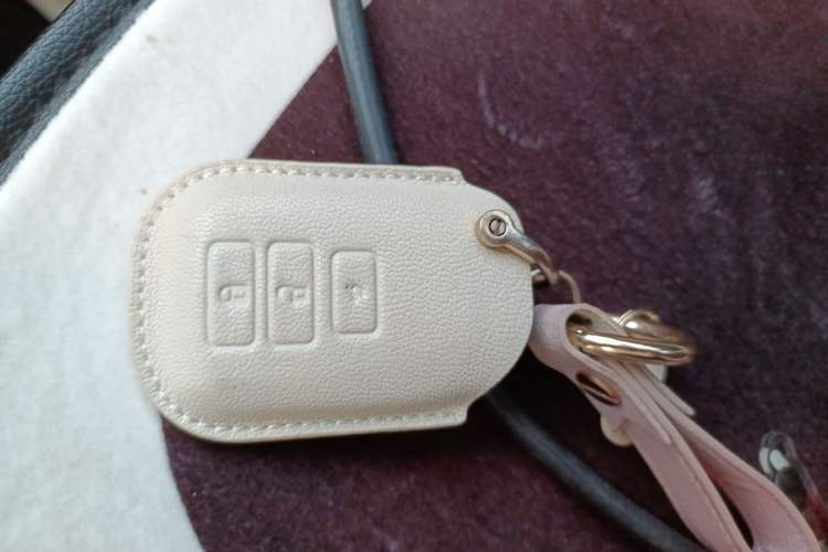 Used Toyota Vios 2022 1.5L 20th Anniversary Edition Vehicle Key