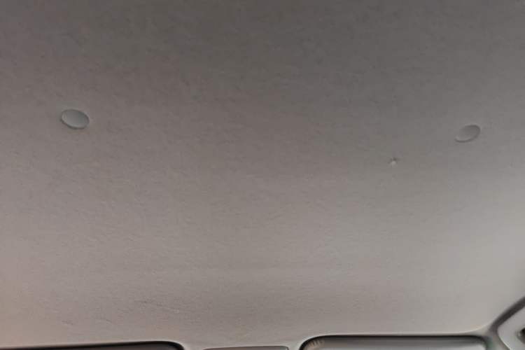 Used Toyota Vios FS 2017 1.5L CVT Fengchi Edition Headliner