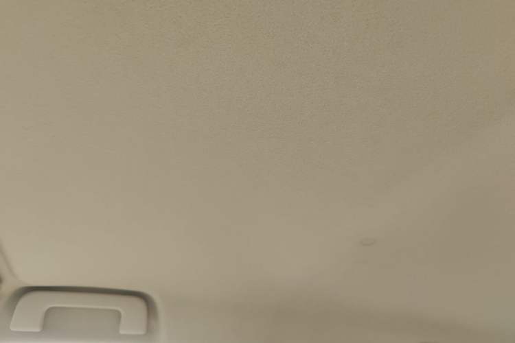 Used Toyota Vios FS 2017 1.5L Manual FENGCHI Edition Headliner