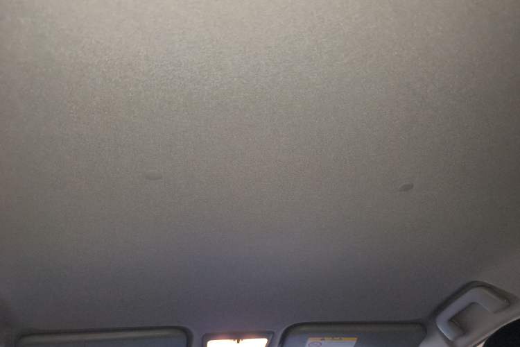 Used Toyota Vios FS 2017 1.5L Manual FENGCHI Edition Headliner