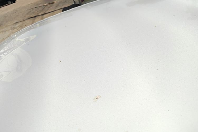 Used Toyota Vios FS 2017 1.5L CVT Fengchi Edition Roof