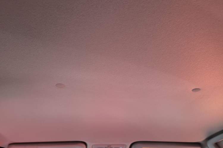 Used Toyota Vios FS 2019 1.5L CVT Fengchi Edition Headliner