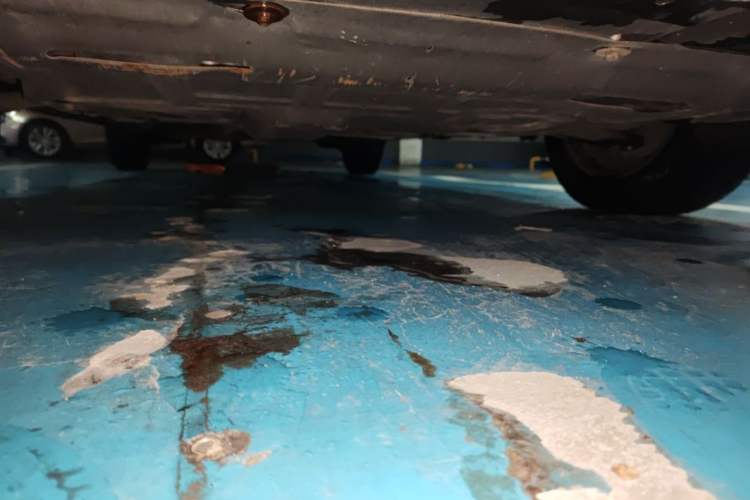 Used Toyota Vios FS 2019 1.5L CVT Fengchi Edition Chassis Front