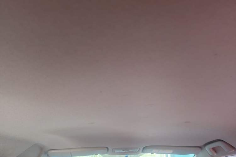 Used Toyota Vios FS 2019 1.5L CVT Fengchi Edition Headliner